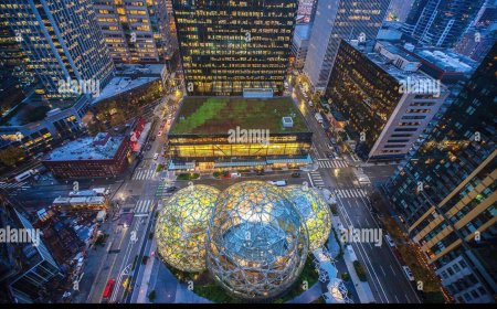 Amazon Customer Care & Toll Free Number – Official Support