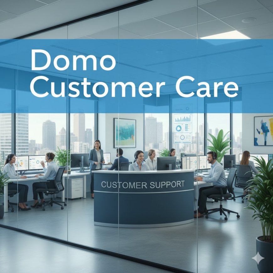 Domo Customer Care & Toll Free Number